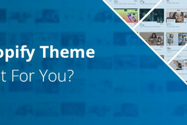 What Shopify Theme is the Best for You?